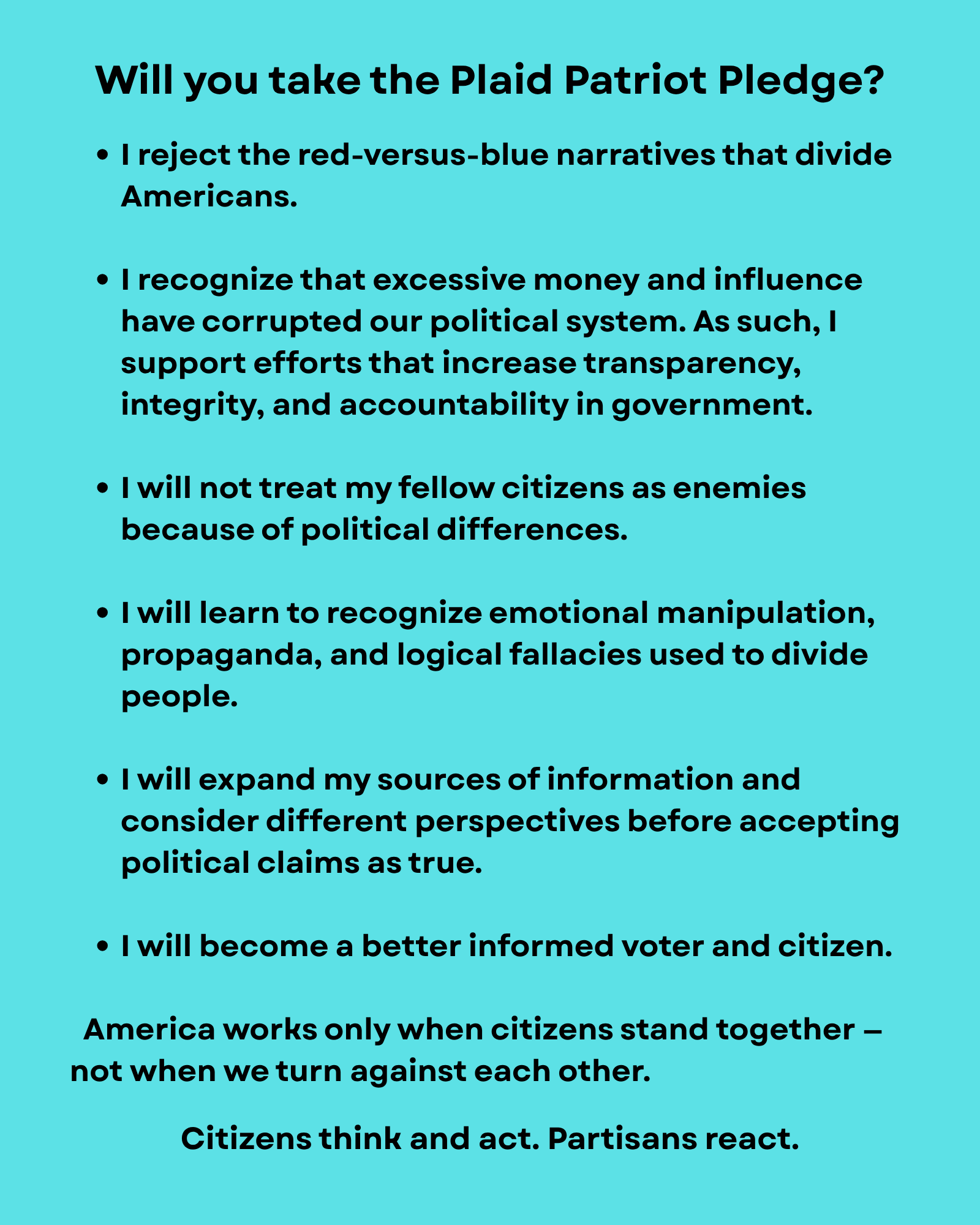 Plaid Patriot Pledge